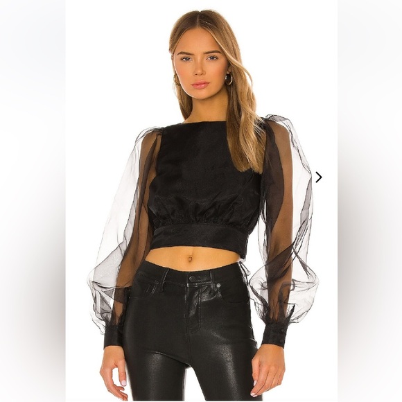 Lovers & Friends Organza Top - Picture 6 of 7